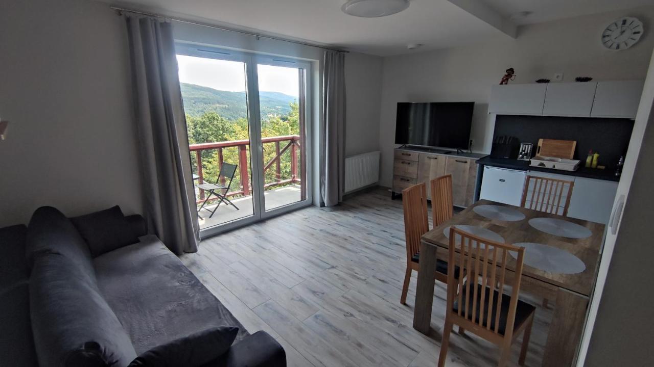 Źródełko Rac REALIZACJA BONU TURYSTYCZNEGO Apartamento Świeradów-Zdrój Exterior foto