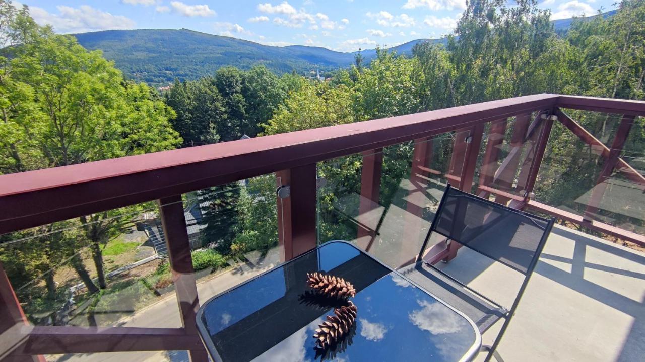 Źródełko Rac REALIZACJA BONU TURYSTYCZNEGO Apartamento Świeradów-Zdrój Exterior foto